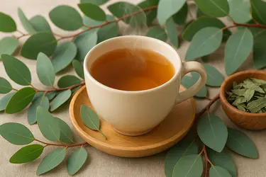 Beneficiile ceaiului de eucalipt
