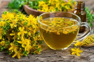 St-Johns-Wort-benefits-herbal-plant-Hypericum-perforatum