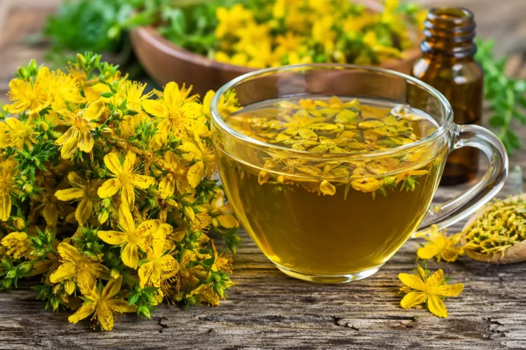 St-Johns-Wort-benefits-herbal-plant-Hypericum-perforatum